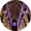 SwiftProxy