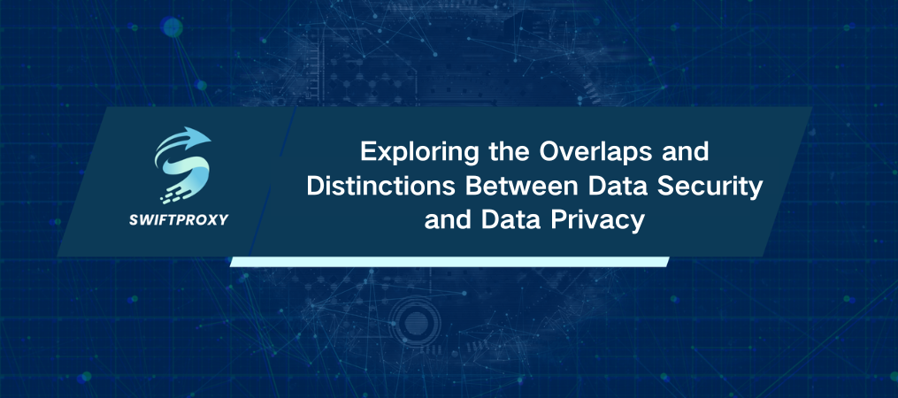 Exploring the Overlaps and Distinctions Between Data Security and Data Privacy