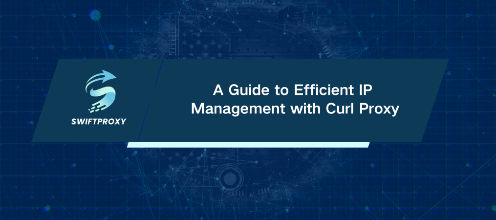 A Guide to Efficient IP Management with Curl Proxy
